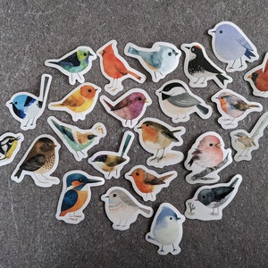 Stickerset| 23 Sticker - Vögel, Herbst Wald, Vogel