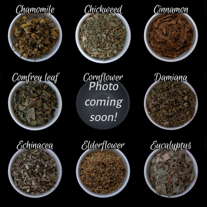 Botanicals for Witchcraft Free Shipping: Herbs, Flowers, Roots, etc, for Incense, Spellwork, and Teas image 3