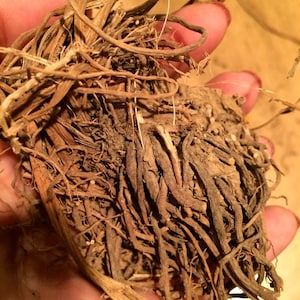 Organic Dried Valerian Root (Valeriana Officinalis)