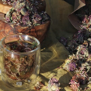 Organic Dried Red Clover Flowers (Trifolium pratense)