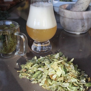 Organic Dried Hop ( Humulus lupulus )