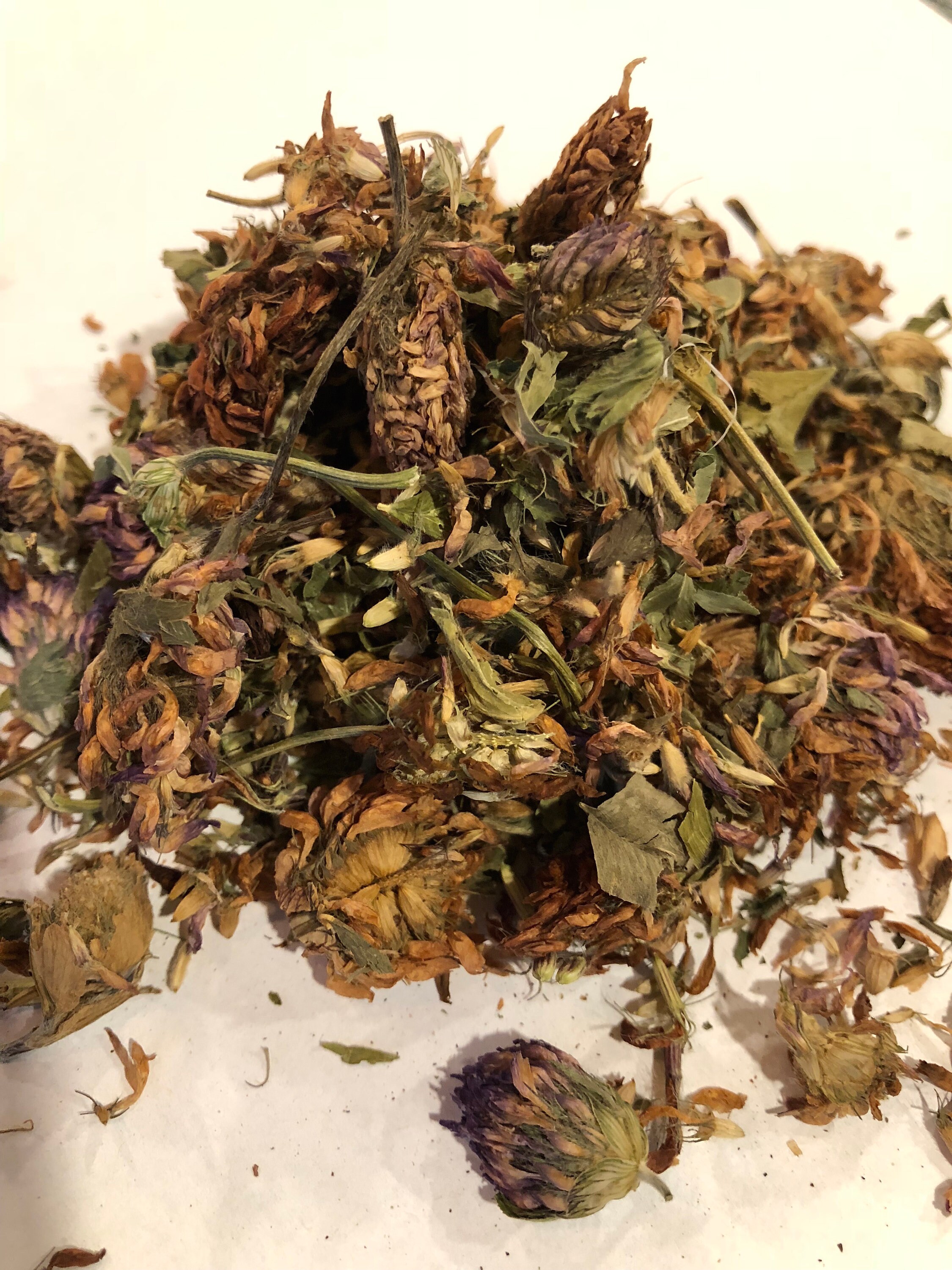 Organic Dried Red Clover Flowers Trifolium pratense Etsy