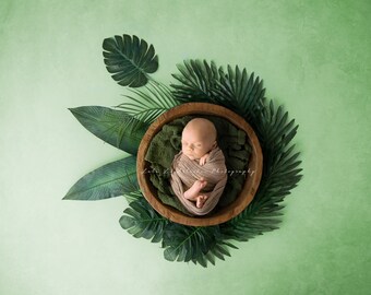 Newborn digital Backdrop, Newborn tropical Backdrop, Newborn Background, Digital Prop, Digital Newborn bowl prop, tropical leaves