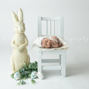 Newborn Easter bunny Backdrop, Newborn Easter Backdrop, newborn digital backdrop,  Newborn Background, Digital Prop, Newborn bunny prop