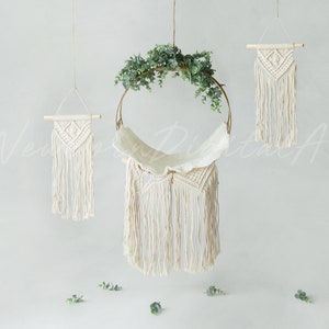 Newborn dreamcatcher prop, Newborn digital Backdrop, Newborn Background, Digital Prop, Digital Newborn swing prop, boho eucalyptus swing