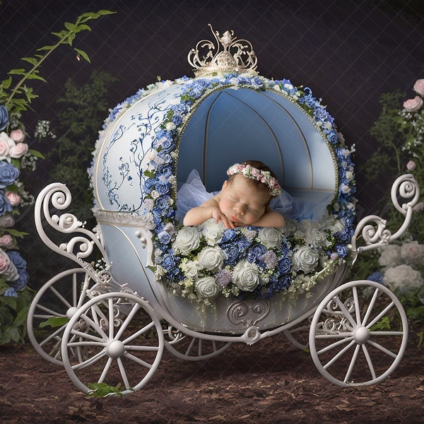Cinderella carriage, newborn digital backdrop, princess Backdrop, Digital download, Cinderella carriage prop