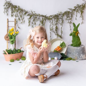 Easter digital Backdrop, Easter Backdrop, digital Background, Digital Prop, easter bunny background