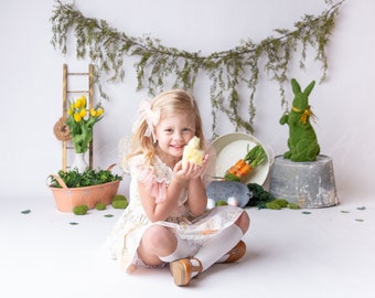 Easter digital Backdrop, Easter Backdrop, digital Background, Digital Prop, easter bunny background