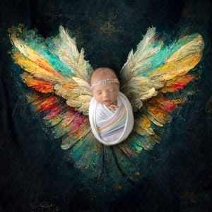Rainbow baby Newborn digital Backdrop, Newborn angel wings, newborn digital, fine art backdrop for newborn photography, rainbow wings