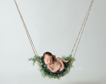 Newborn digital Backdrop, Newborn Eucalyptus swing, Newborn Background, Digital Prop, Digital Newborn swing prop, curved eucalyptus swing