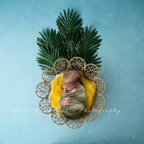 Newborn digital Backdrop, Newborn pineapple prop, Newborn Background, Digital Prop, Newborn summer prop, tropical fruit prop