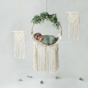Newborn boho swing, Newborn digital Backdrop, Newborn Background, Digital Prop, Digital Newborn swing prop, boho eucalyptus swing