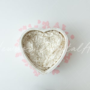 Newborn digital Backdrop, Newborn heart bowl, Newborn Background, Digital Prop, Newborn valentine backdrop, pink hearts