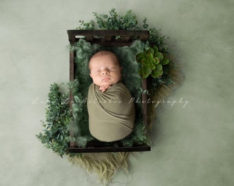 Newborn Succulent backdrop Newborn digital Backdrop,, Newborn Background, Digital Prop, Digital Newborn bed, spring bed prop, sage, boho