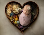 Newborn digital Backdrop, Newborn heart bowl backdrop, Newborn Background, Digital Prop, heart backdrop, floral backdrop