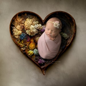 Newborn digital Backdrop, Newborn heart bowl backdrop, Newborn Background, Digital Prop, heart backdrop, floral backdrop