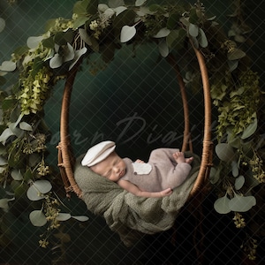 Newborn digital Backdrop, Newborn eucalyptus swing, Newborn Background, Digital Prop, Digital Newborn swing prop, newborn boy digital