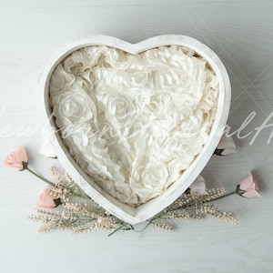 Newborn digital Backdrop, Newborn heart bowl, Newborn Background, Digital Prop, Newborn valentine backdrop, pink floral heart