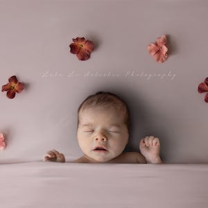 Cenário digital para recém-nascidos, pano de fundo digital para beanbag, beanbag para recém-nascidos, adereço digital, flores rosa, menina recém-nascida, dobrado na cama
