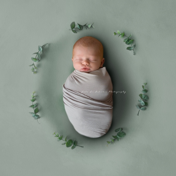 Newborn Digital backdrop, beanbag digital backdrop, Newborn beanbag, Digital Prop, eucalyptus prop