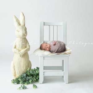 Newborn digital Backdrop, Newborn Easter Backdrop, Newborn Background, Digital Prop, Newborn chair prop, digital bunny