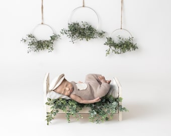 Newborn digital Backdrop, Spring Newborn backdrop, Newborn composite, Digital Prop, Digital Newborn bed, boho eucalyptus
