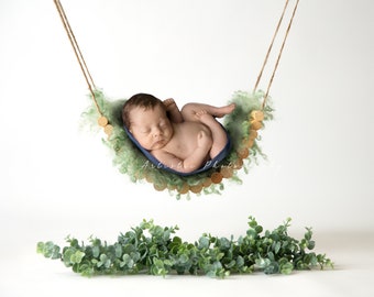 Newborn digital Backdrop, Newborn Eucalyptus swing, Newborn Background, Digital Prop, Digital Newborn swing prop, green eucalyptus swing