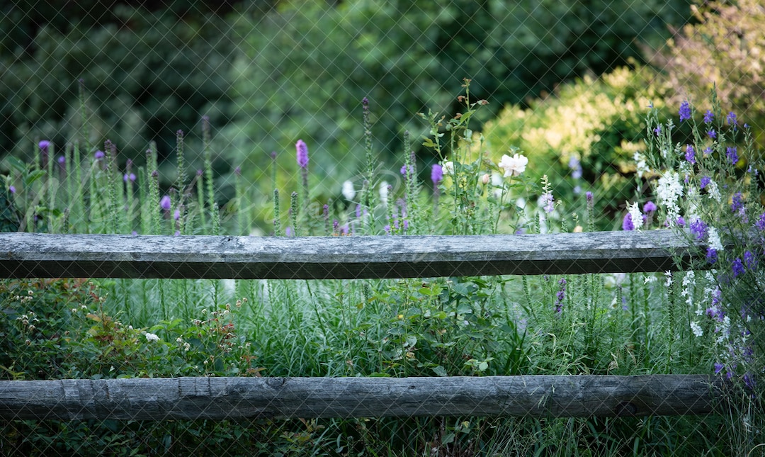 Summer Backdrop, Spring Backdrop, Floral Background, Digital Backdrop ...