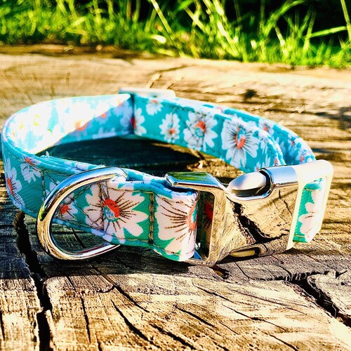 Daisy Dog Collar Turquoise Floral Adjustable Dog Collar Etsy UK