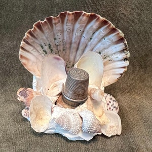 May include: A silver thimble surrounded by a variety of seashells, including a large scallop shell.