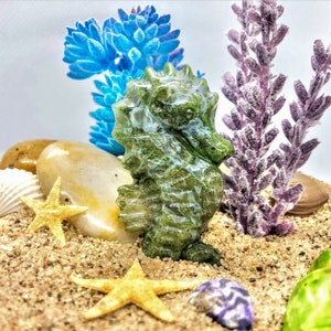 DIY Terrarium Kit, Agate Crystal Seahorse Starfish & Shells, Beach Themed Decor, Gift for Her, Birthday, Ocean Lovers