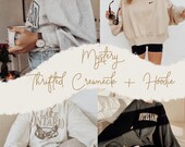 Mystery Thrifted Crewnecks Pack- Gently Used Thrifted Shirt - Sweatshirt - Pullover - Long Sleeve - Vintage Threads - Aesthetic Apparel