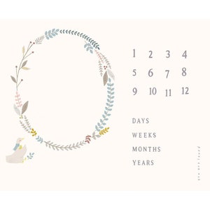 May include: A cream-colored baby milestone blanket with a floral wreath design. The blanket features numbers 1-12, and the words "DAYS", "WEEKS", "MONTHS", and "YEARS". A small duck is in the lower left corner. The words "you are loved" are in the lower right corner.