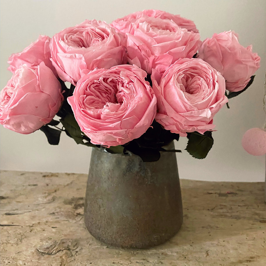 Roses Roses Stabilisées