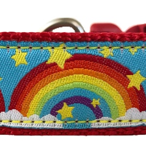 Collare per cani con nastro arcobaleno