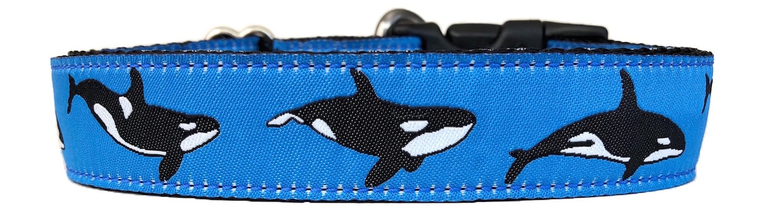 Orca Whale Ribbon Dog Collar - Etsy