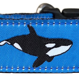 Orca Whale Ribbon Dog Collar