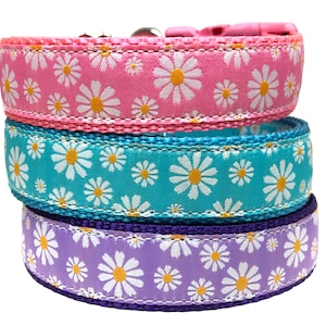 Daisies Pattern Ribbon Dog Collar