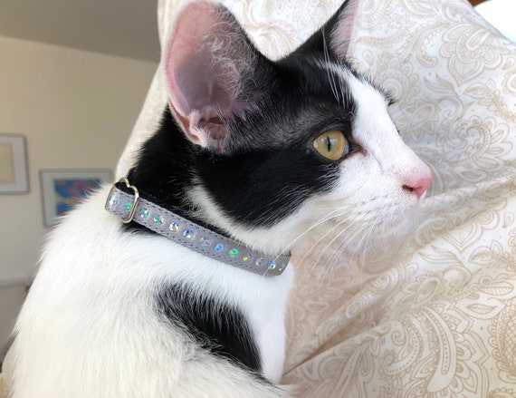 Pet Collars Silver Cat Collar Pet Collar Charms For Cat Collars