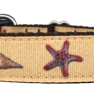 Shells and Sea Stars Ribbon Dog Collar