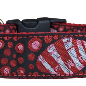 Red Sea Stars and Shells Ribbon Dog Collar