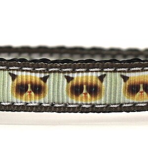 Könnte beinhalten: Ein braunes Katzenhalsband mit einem sich wiederholenden Muster von mürrischen Katzenköpfen. Das Halsband hat eine silberne Glocke.