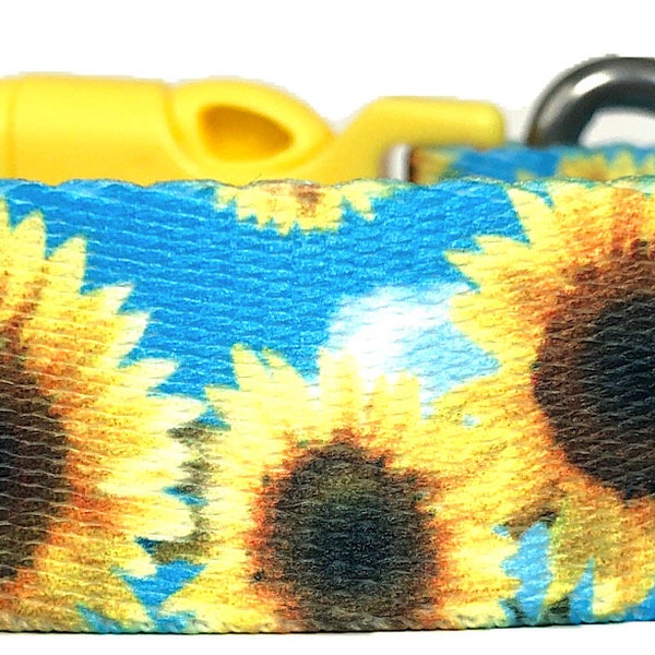 Sunflowers Dog Collar