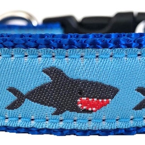 May include: Blue and light blue dog collar with a repeating pattern of black sharks with red mouths.