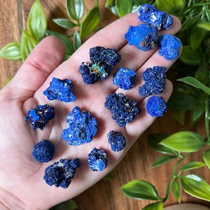May include: A collection of small, rough, blue and green azurite crystals. The crystals are various shapes and sizes, and some have a metallic sheen.
