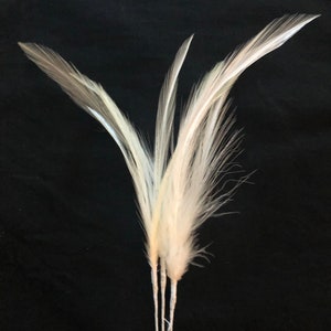 Indian Wedding Accessories-  Feather for Kalangi/Kalgi for Men's Safa/Groom Pagdi