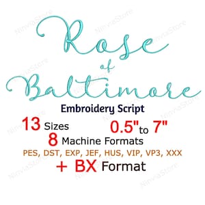 Rose Script Embroidery Font, BX Font for Embroidery, PES Monogram Font Script Font, Small Font pe, Alphabet Machine Embroidery Design DST