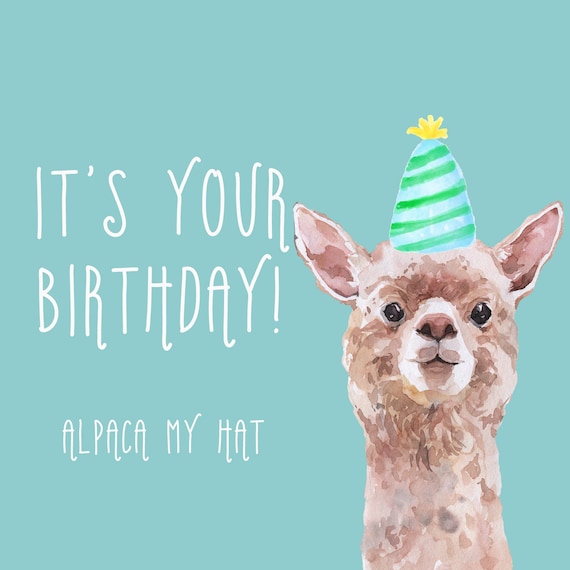 Alpaca verjaardagskaart. Alpaca Mijn hoed verjaardag. Lama
