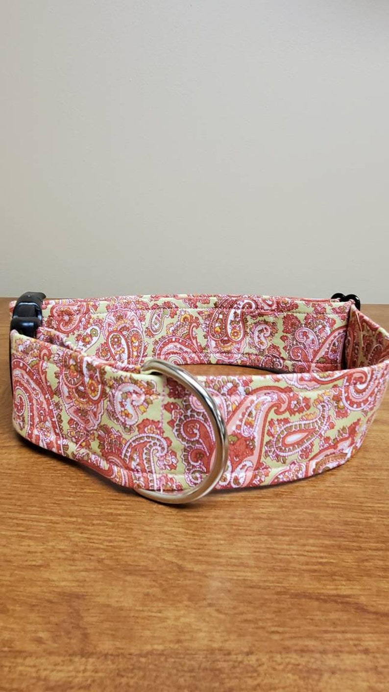 Pink Paisley on Green Dog Collar Etsy