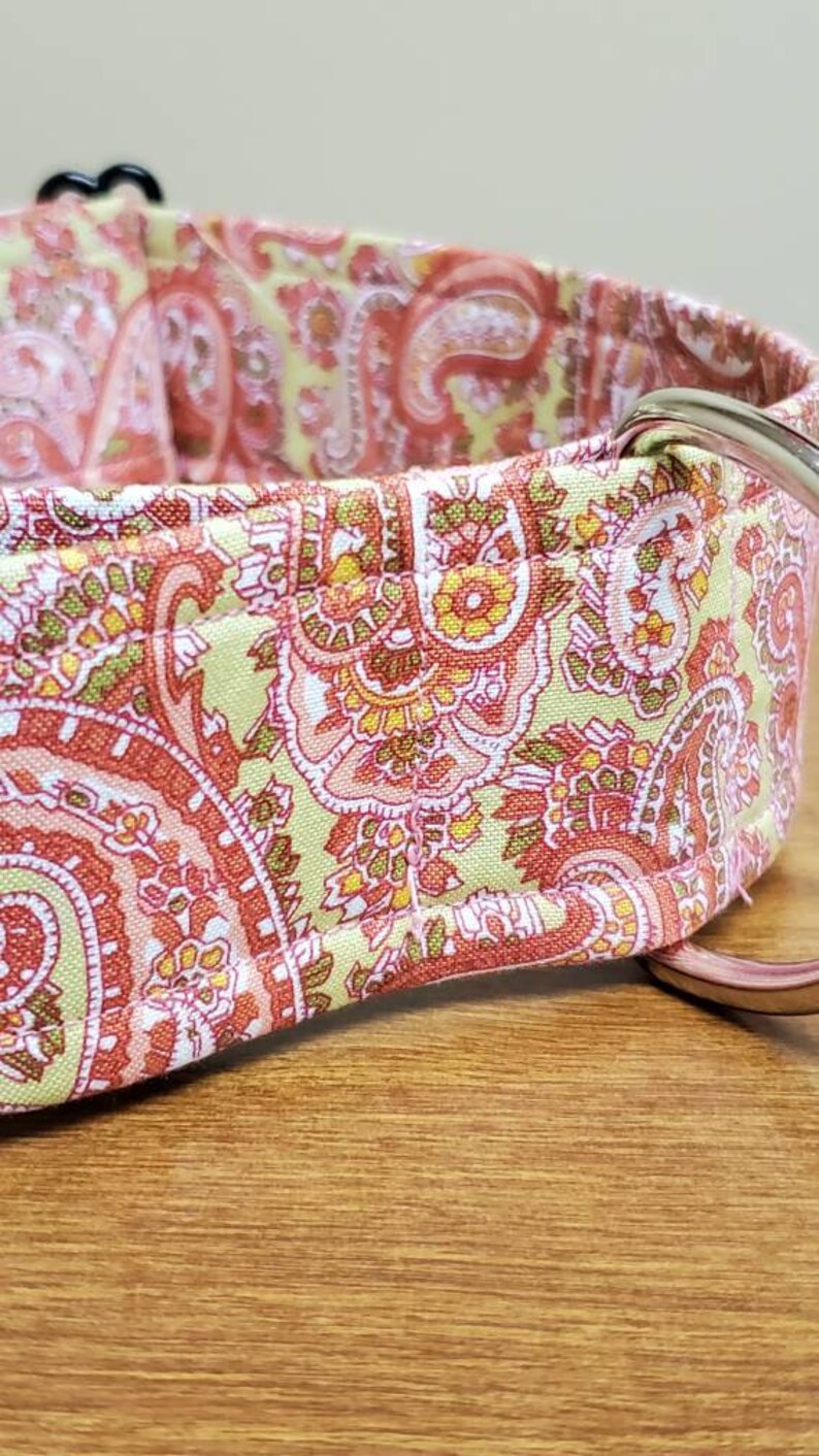 Pink Paisley on Green Dog Collar Etsy